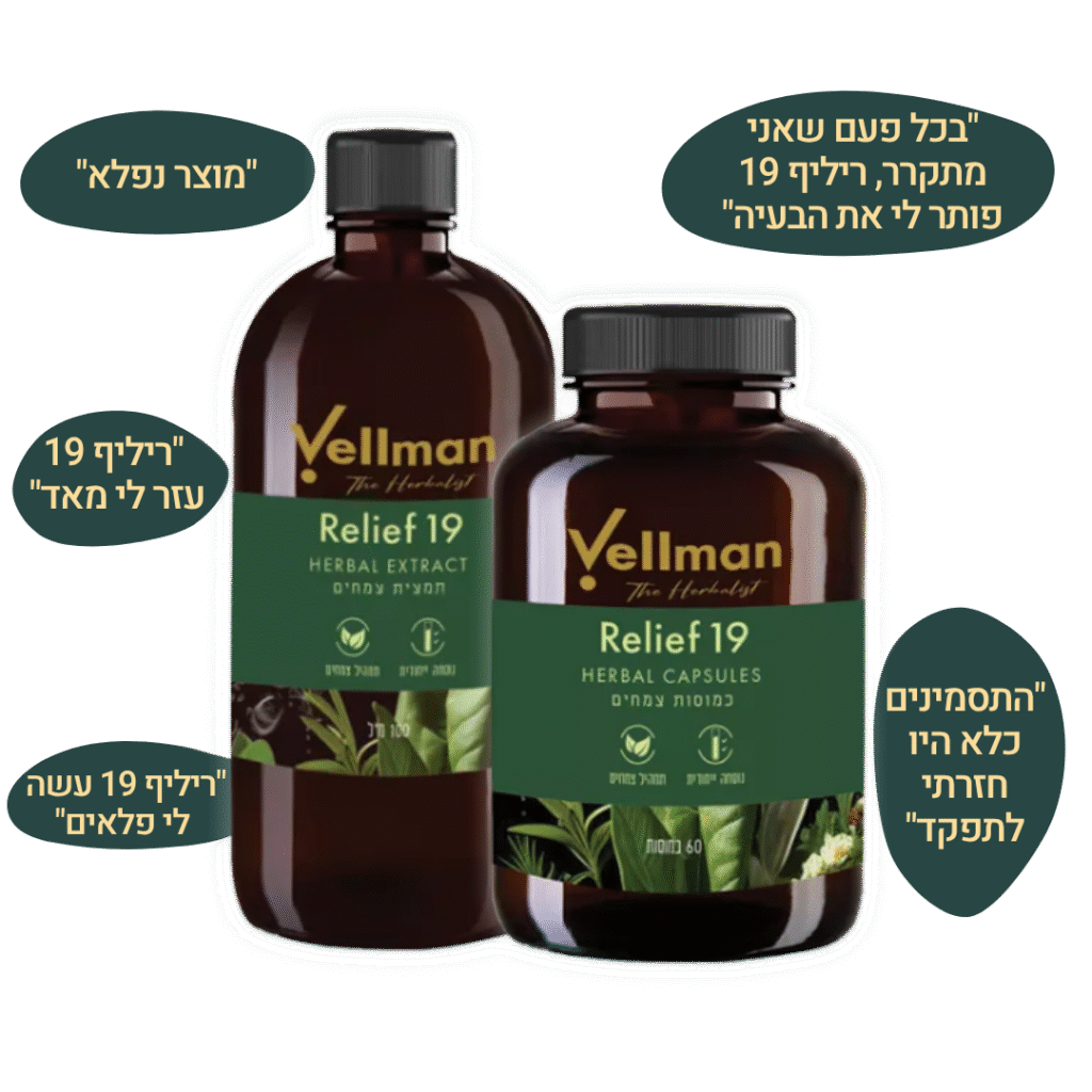 רליף 19